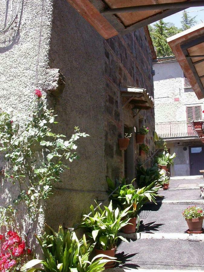 فيلا Casa Del Ciliegio راديكوفاني المظهر الخارجي الصورة