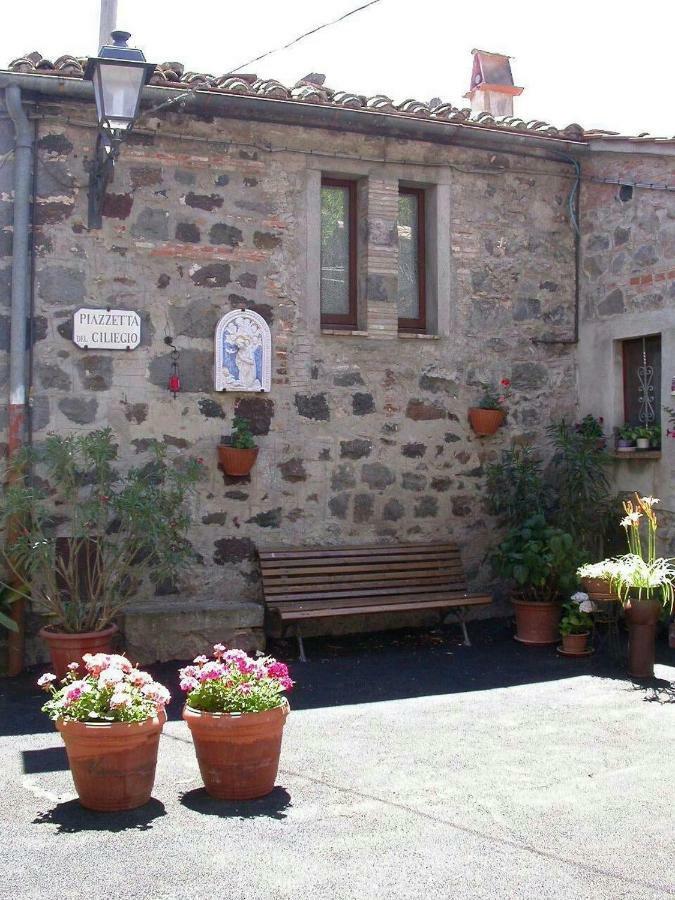 فيلا Casa Del Ciliegio راديكوفاني المظهر الخارجي الصورة